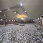 ساندوتش بانل وبيوت شعر جدة | مجالس بيوت شعر تفصيل خيام في جدة